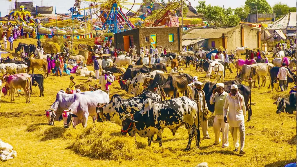 nagaur cattle fair